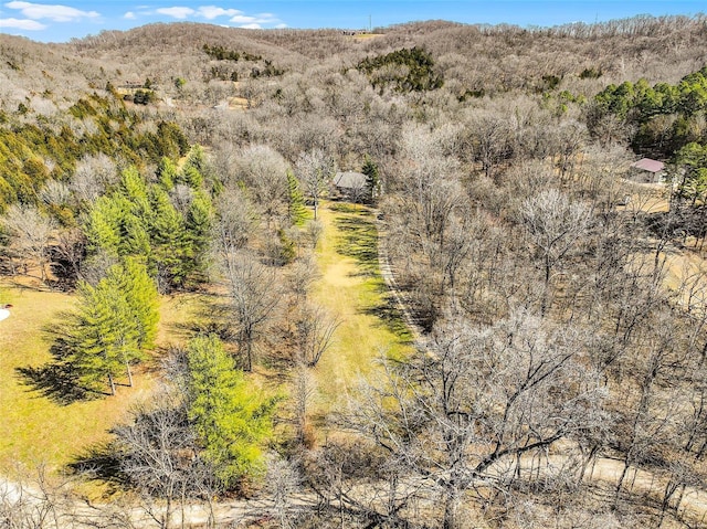 drone / aerial view featuring a mountain view and a view of trees