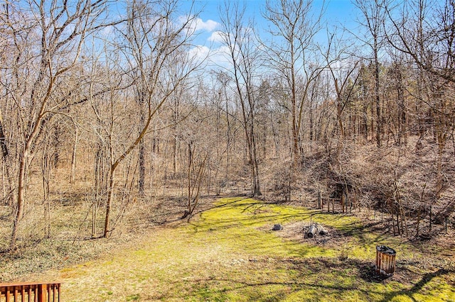 view of yard featuring a view of trees