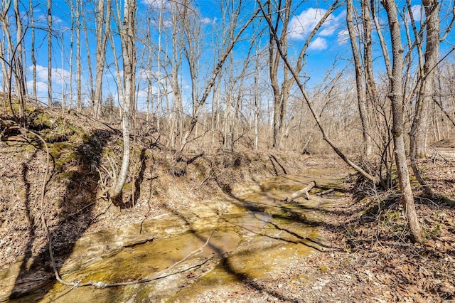 view of local wilderness featuring a wooded view