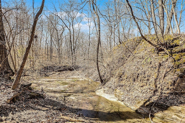 view of nature with a wooded view