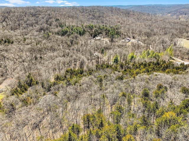 aerial view with a view of trees