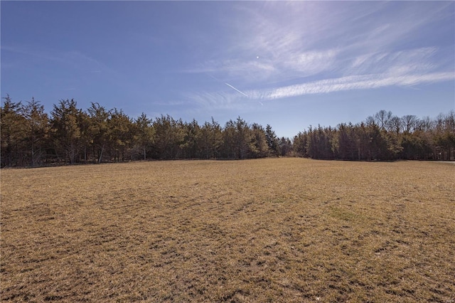 view of landscape with a wooded view