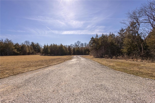 view of road with a wooded view