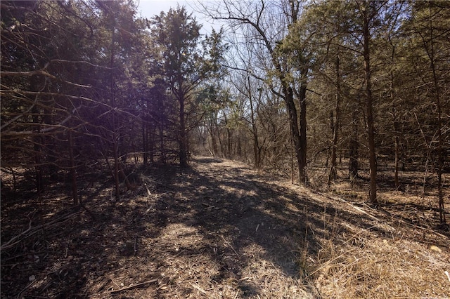 view of local wilderness