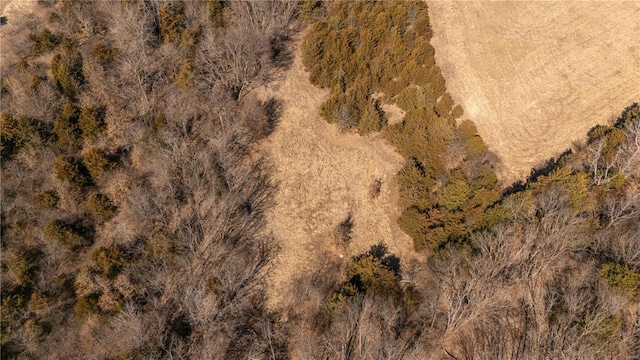 aerial view with a forest view