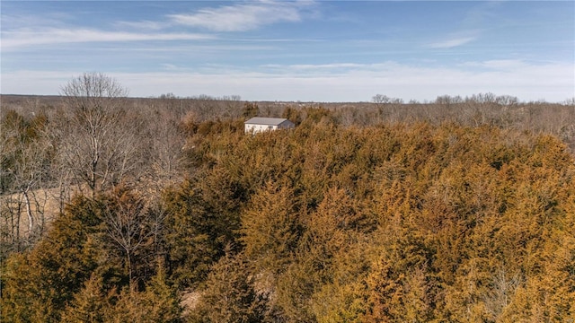 view of local wilderness featuring a wooded view