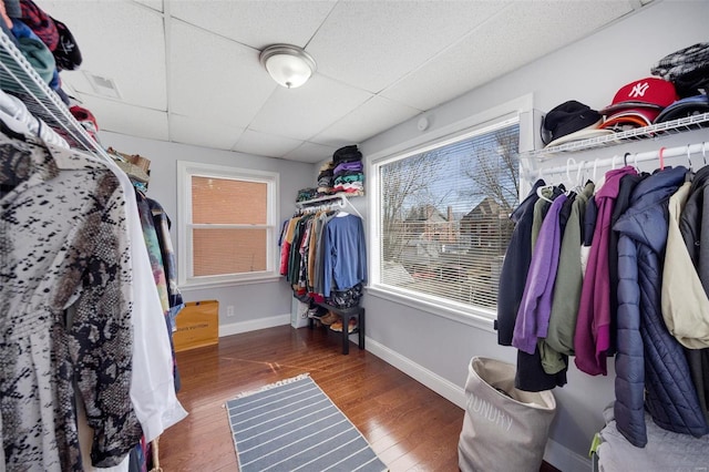 walk in closet with a drop ceiling and wood finished floors