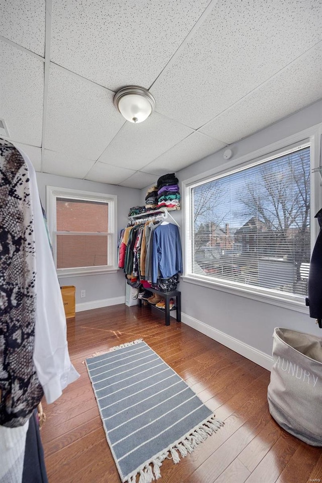 walk in closet featuring hardwood / wood-style floors and a paneled ceiling