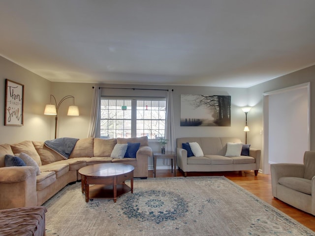 living room featuring wood finished floors