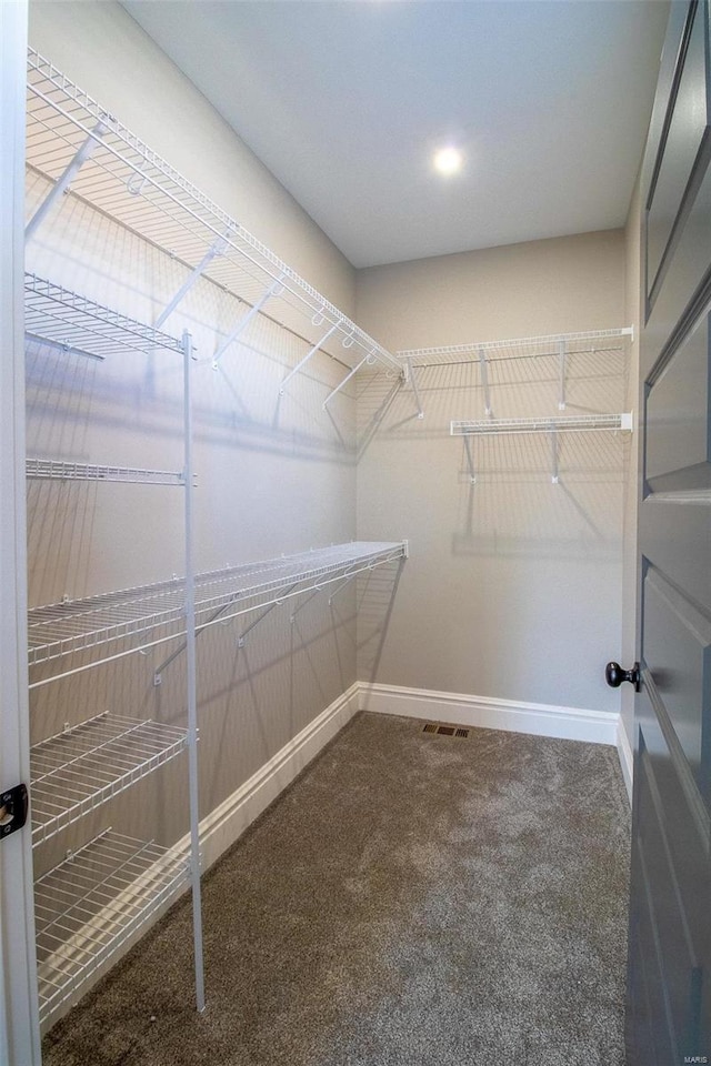 spacious closet featuring carpet flooring