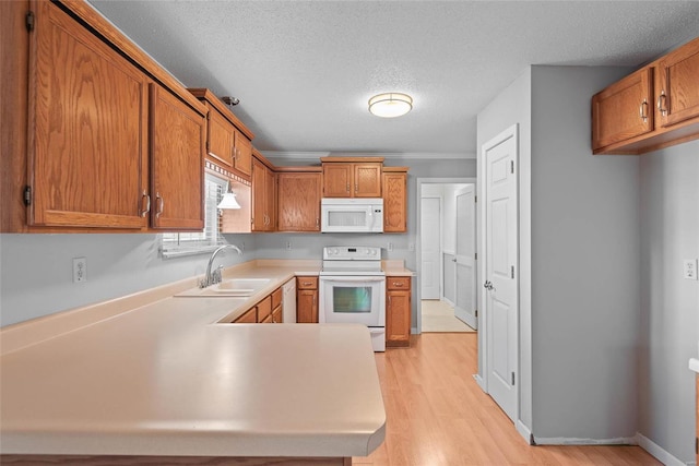 kitchen with light wood-style flooring, white appliances, a sink, light countertops, and brown cabinets