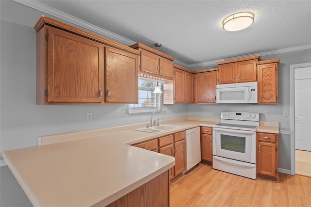 kitchen featuring light wood-style flooring, white appliances, a sink, light countertops, and ornamental molding