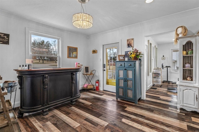 interior space with dark wood-style flooring, plenty of natural light, and baseboards