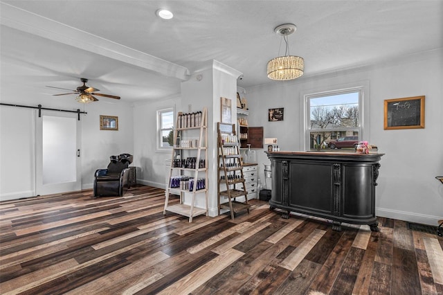 interior space with a healthy amount of sunlight, a barn door, and dark wood-style flooring