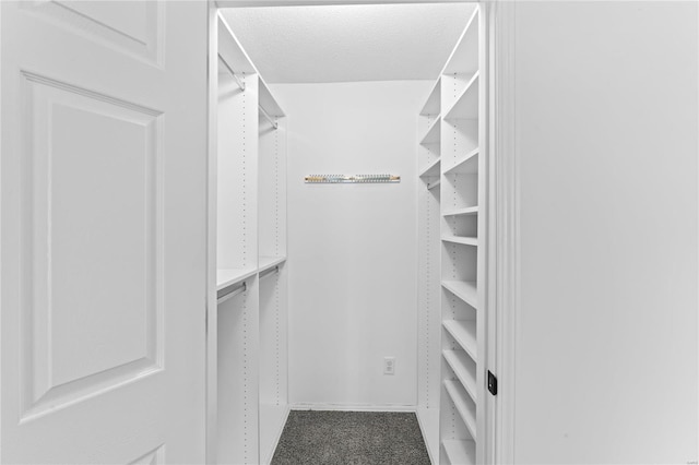 spacious closet with carpet flooring