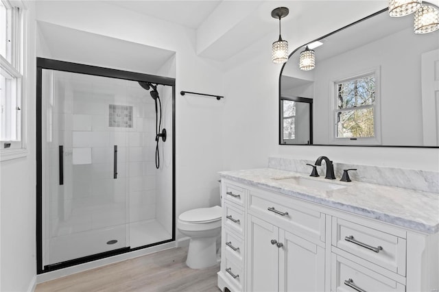 bathroom featuring vanity, a shower stall, toilet, and wood finished floors