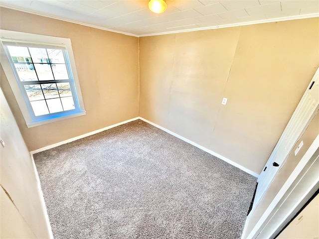 spare room with baseboards, carpet flooring, and crown molding