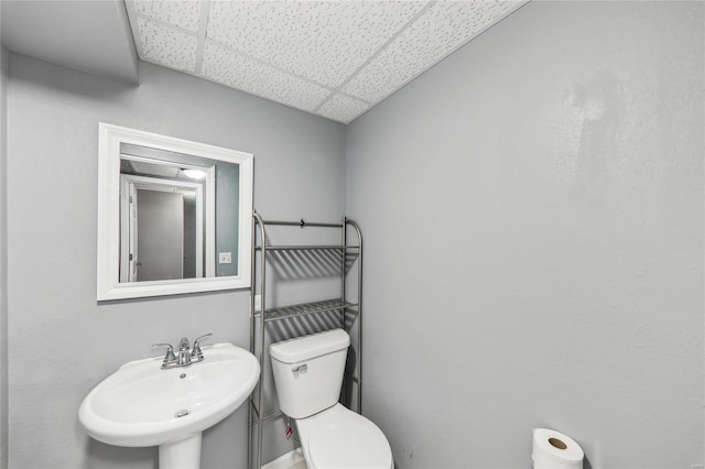 half bath featuring a paneled ceiling, toilet, and a sink