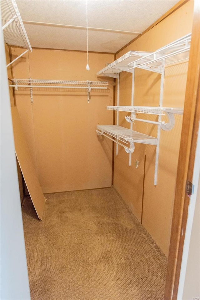 spacious closet featuring carpet floors