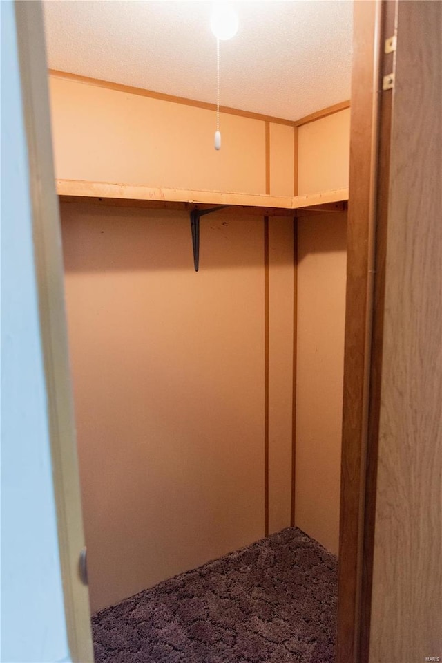 walk in closet featuring carpet