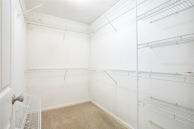 spacious closet with carpet floors