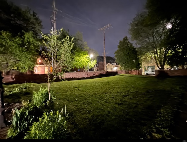 view of yard at night