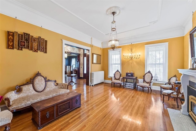 living area featuring crown molding, light wood-style flooring, radiator heating unit, an inviting chandelier, and a fireplace with flush hearth