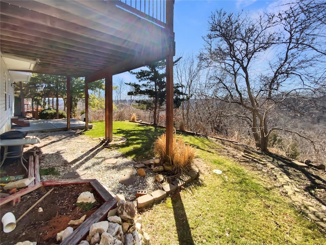 view of yard featuring a patio area