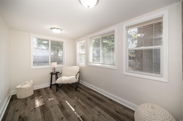 sitting room with baseboards and dark wood-type flooring