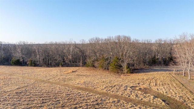 view of landscape with a rural view