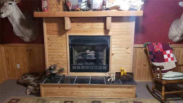 details with a wainscoted wall, wooden walls, and a fireplace