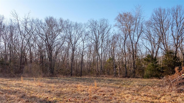 view of local wilderness