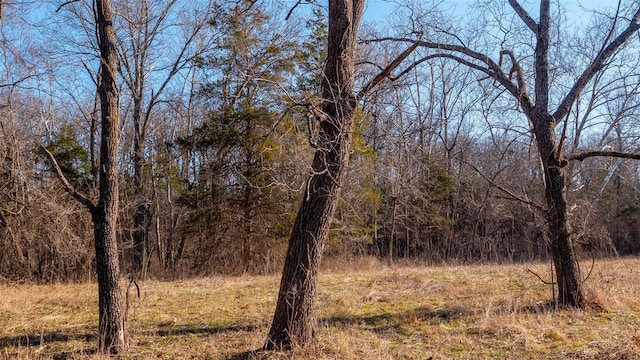 view of nature with a forest view