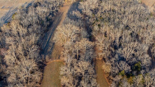 aerial view with a wooded view