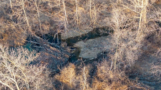 view of landscape