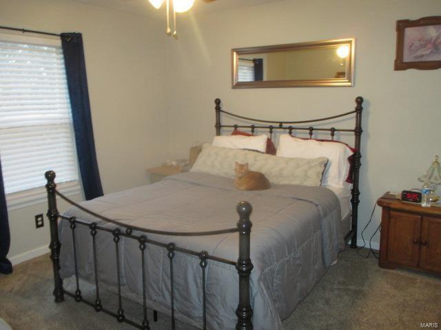 carpeted bedroom with multiple windows