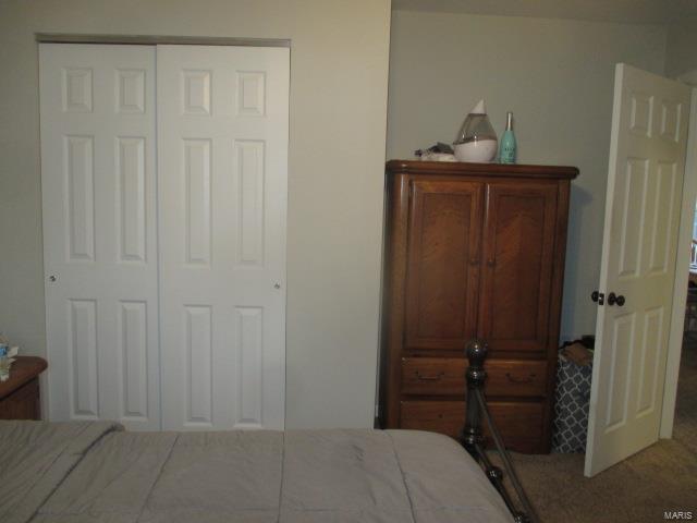 bedroom with a closet and carpet