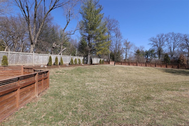 view of yard with a fenced backyard