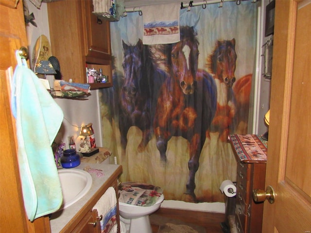 full bathroom with toilet, a shower with shower curtain, and vanity