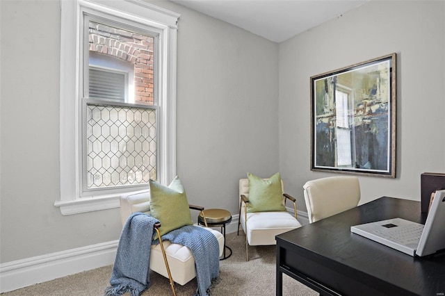 office featuring carpet floors and baseboards