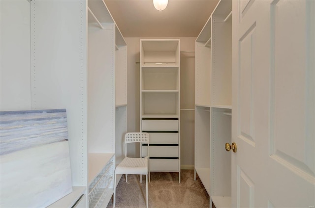 walk in closet featuring carpet