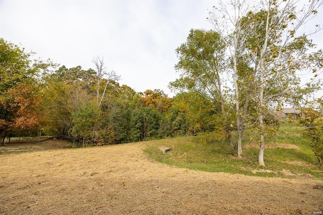 view of local wilderness