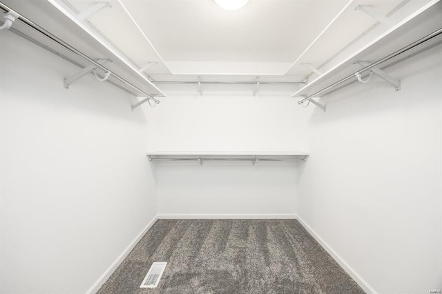 spacious closet featuring visible vents and carpet