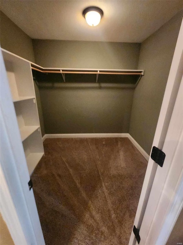 spacious closet with carpet flooring