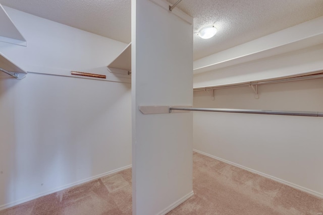 spacious closet featuring carpet floors