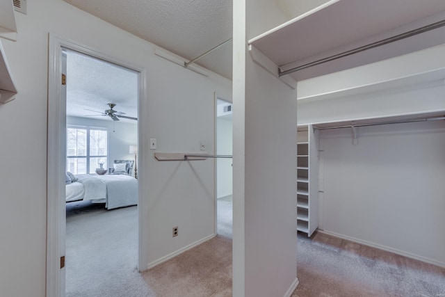 walk in closet featuring ceiling fan, visible vents, and carpet flooring