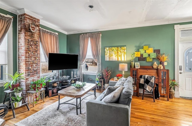 living area featuring ornamental molding and wood finished floors