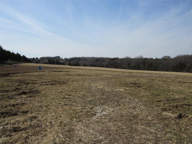 view of local wilderness with a rural view