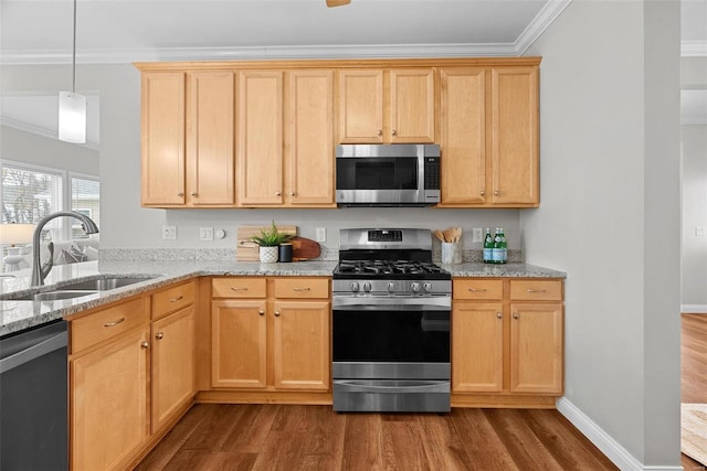 kitchen featuring dark wood-style flooring, ornamental molding, stainless steel appliances, and a sink