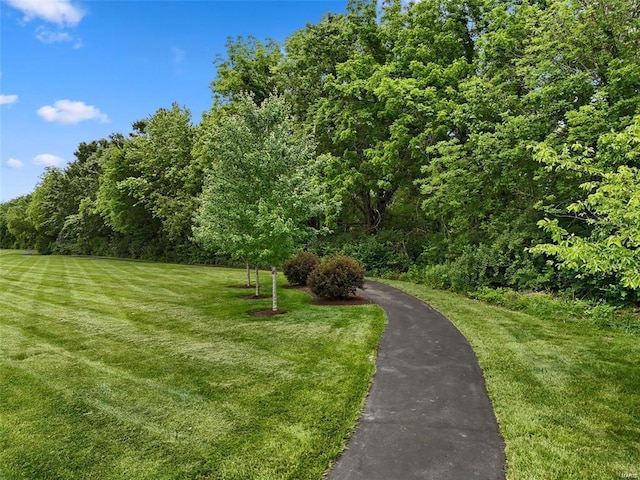 view of property's community featuring a yard